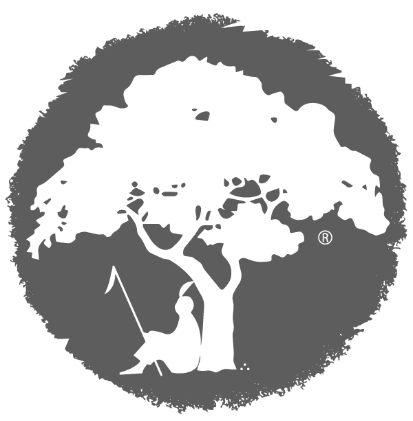 nav logo